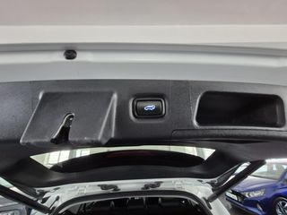 Hyundai Santa Fe 1.6 TGDi HEV Tecno Auto 4x2