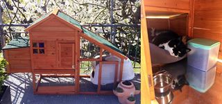 Pollaio in legno con tetto verde