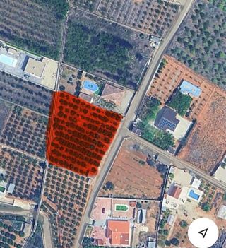 Terreno Rústico en Canals