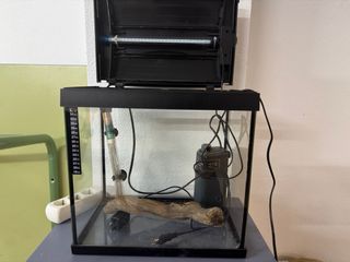 Acuario 25L con calentador y filtro