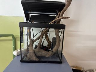 Acuario 25L con calentador y filtro