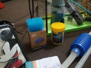 Acuario completo para peces