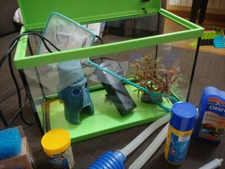 Acuario completo para peces