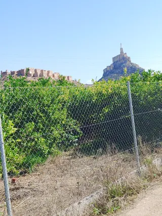 Parcela rústica en Monteagudo-cabezo de torres