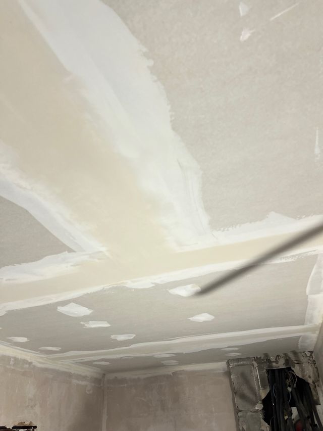 hago todo tipo de techo de pladur