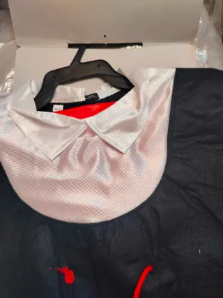 Disfraz Pastora Niña