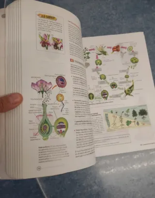 Biología, Geología y Ciencias Ambientales 1 Bac...