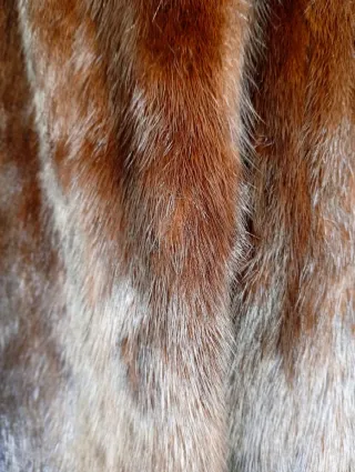 Abrigo vintage sintético marrón