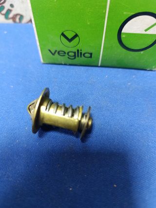 Termostato Seat Ibiza Ronda Veglia