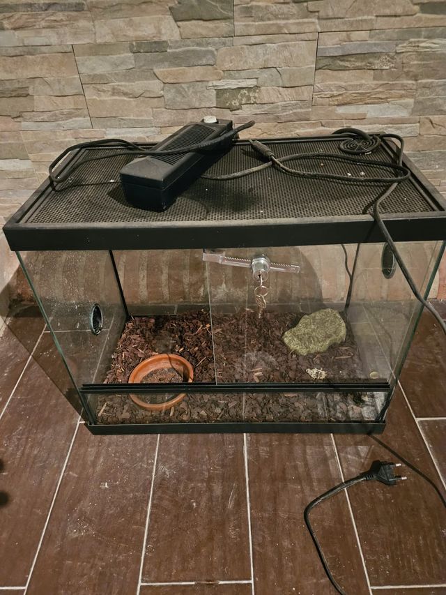 Terrario cristal negro y transparente