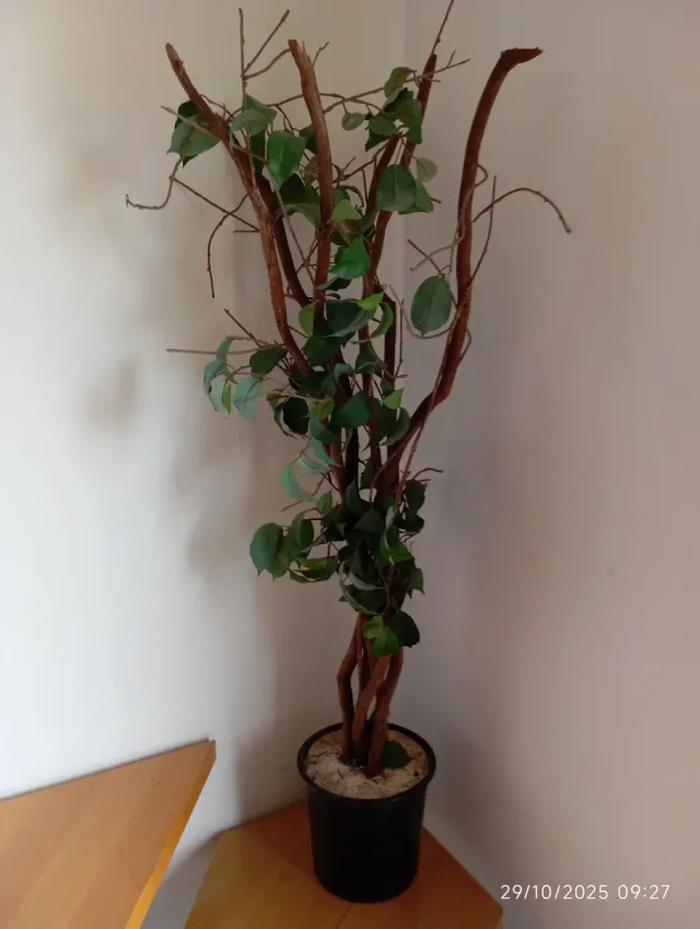 Árbol decorativo con ramas y hojas