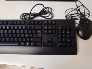Teclado Lenovo Negro y ratón