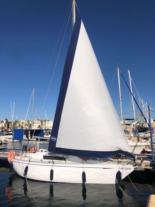 Velero Puma 24 sin motor