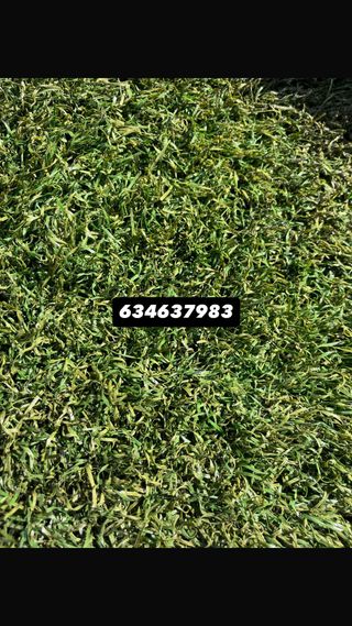 Césped Artificial Reciclado