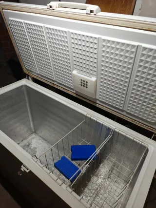 Congelador Ignis ICF410