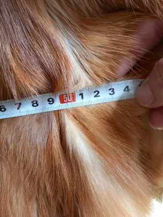 Chaquetón de piel lomos de zorro canadiense