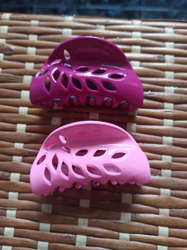 Pinzas para el pelo (2 unidades)