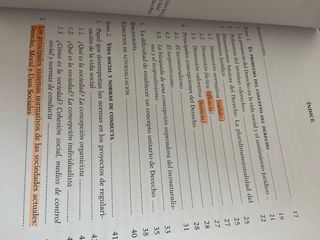 Introducción a la teoría del derecho (GRADO) (S...