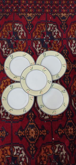 Set 5 Piatti Bofrost Antipasto/Dolce