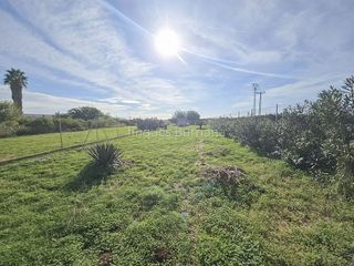Terreno en venta en Zona Llombai en Burriana