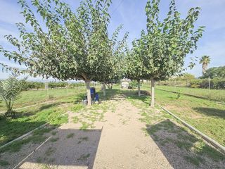 Terreno en venta en Zona Llombai en Burriana