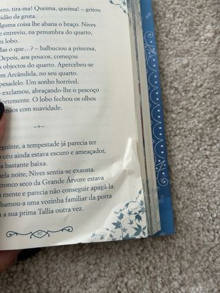 A princesa dos gelos