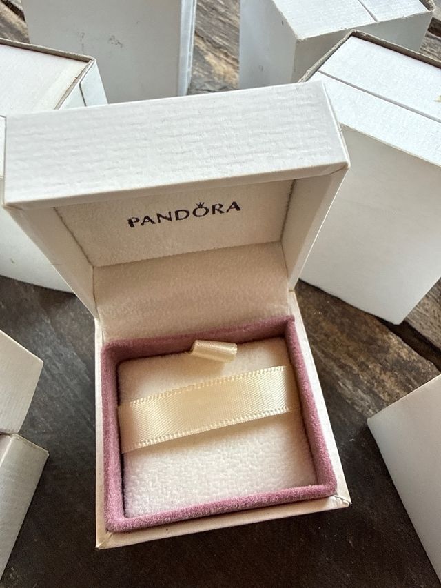 Lote 11 estuches Pandora nuevos