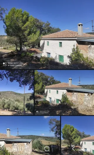 Finca Olivar Cortijo Montefrío Granada