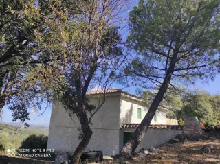 Finca Olivar Cortijo Montefrío Granada