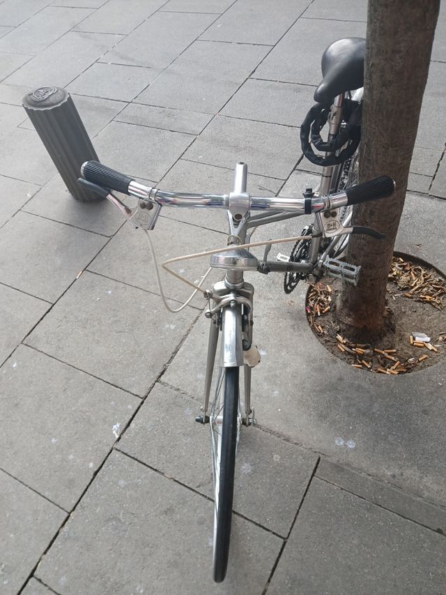 Bicicleta Gacela BH Vintage