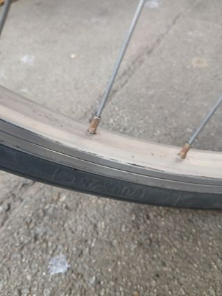 Bicicleta Gacela BH Vintage