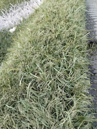 Venta césped artificial