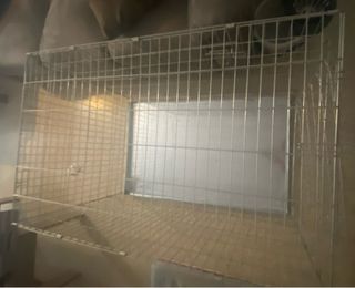 Jaula Perro Transportín Doble Puerta