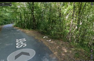 Terreno Castagneto Frutto Prealpi Marittime