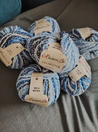 6 ovillos lana Morina Hilaturas LM