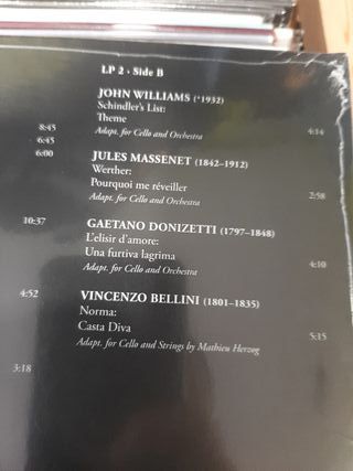 Vinilo Camille Thomas - Voice of Hope