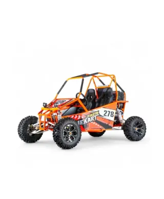 Buggy ROAN 300cc CVT R12