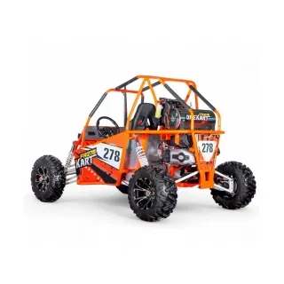 Buggy ROAN 300cc CVT R12