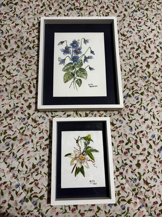 2 Quadri, fiori ad acquerello, vari colori