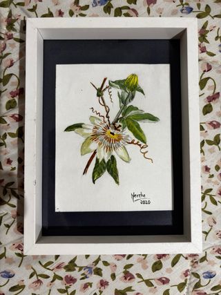 2 Quadri, fiori ad acquerello, vari colori