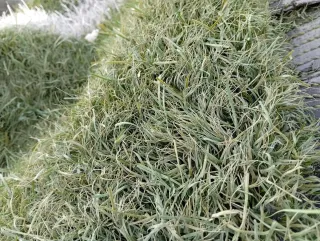 Venta césped artificial