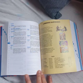 Diccionario de Primaria (Spanish Edition)