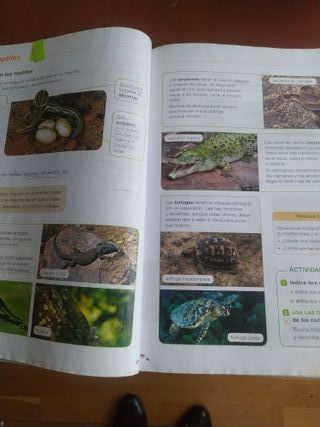 Ciencias De La Naturaleza, 4 Primaria