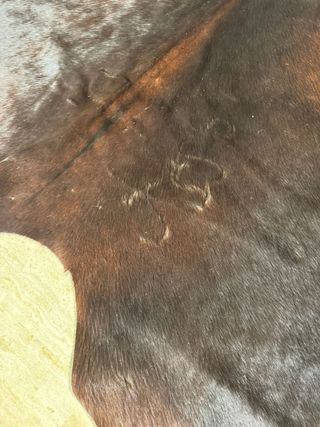 Alfombra Piel Vaca Natural