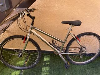 Bicicleta de montaña plateada