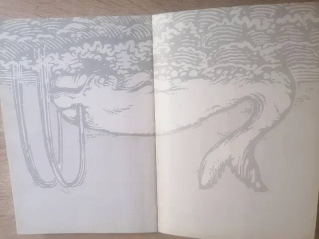 Moby Dick (Clasicos Auriga)