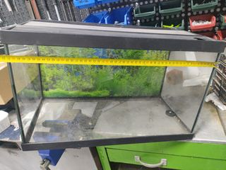 Pecera o terrario
