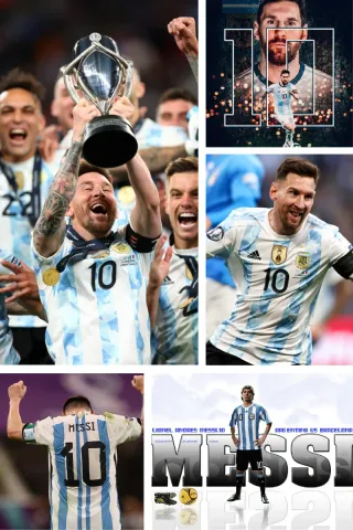 Sudadera Diego Maradona