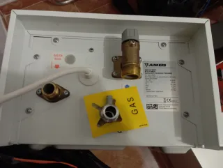 Calentador Junkers Estanco Gas Butano 12L