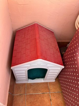 Caseta perro exterior